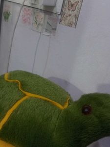 Turtle Plush Toy