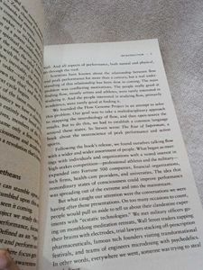 Stealing Fire Book