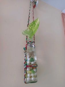 Hanging Glass Bottle Planter With Plant