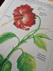 Master Stroke Drawing Series Book