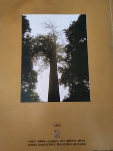 Class 11th Biology Textbook