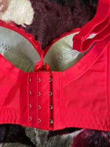 Red Lace Bra