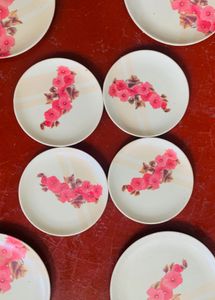 DINNER PLATES