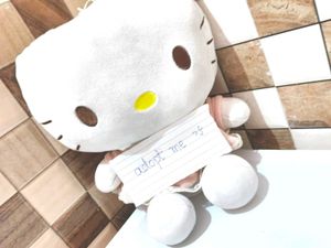 Hello Kitty Plusie