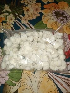 White Seashells for Crafts