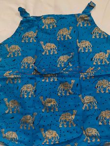 Cute Ethnic Skirt &amp; Top Set