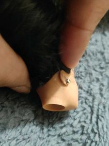 Doll Head