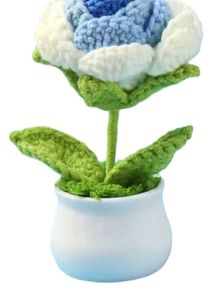 Crochet Flower Pot