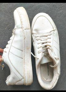 Highlander White Casual Shoes