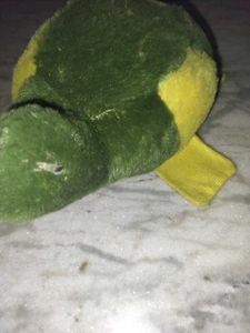 Turtle Plush Toy