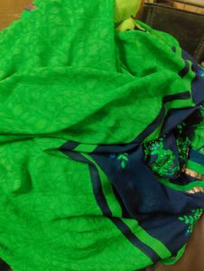 Saari With Blouse