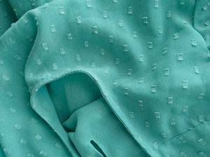 Plain Swiss Polka Dot Long Sleeves Top