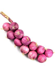 1 Artificial Onion/Garlic  Simulation String