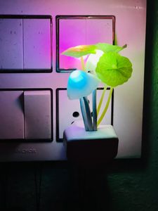 Light