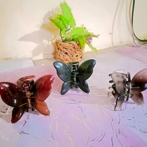 Butterfly 🦋 Hair Claw Pack Of 3