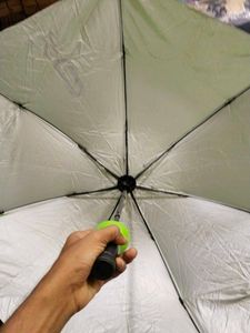 Umbrella