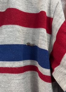 Striped Knit Sweater