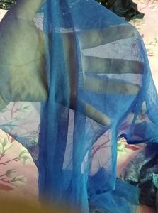 An Elegant Gown For 10-12 Yrs Girl