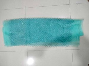 Aqua Sequin Net Fabric Saree.