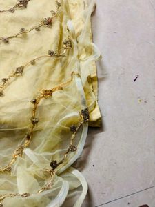 Full Gher Net Anarkali