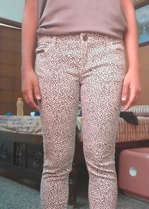 Animal Print Pants