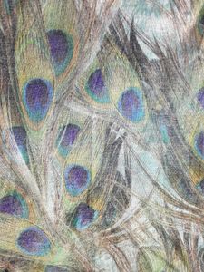 Peacock High Low A Line Kurti