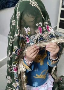 Rajwadi Vintage Odani