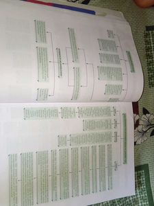 Xam Idea Social Science Class 10 (2024-25)