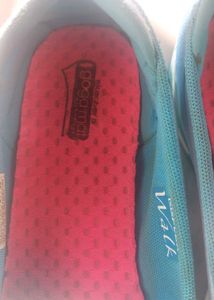 Sketchers Shoes For Women