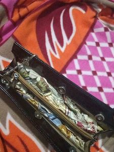 Elegant Danube Clutch