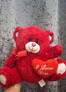 Red Teddy