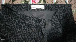 Leopard Print Bottom wear