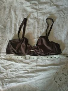 Beautiful Brown Under Wire Pushup Bra