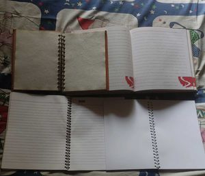 Combo Of 4 New Diaries (Limited Time Sale)