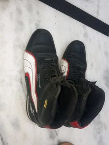 stylish shoes