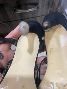 Studded stellitoes