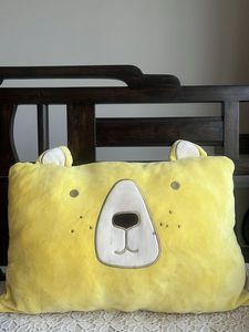 Cute Bear Pillow &amp; Giraffe Plushie