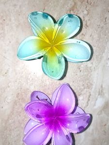 Flower Hair Clips