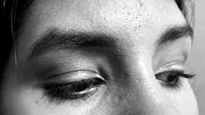 Maybelline The Falsies Lash Lift Mascara