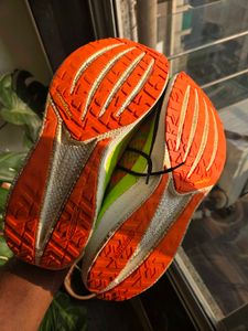 Sport Shoes Skechers