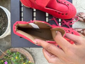 Brand New Casual Shoes