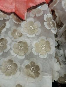 Party Saree With  Blouse