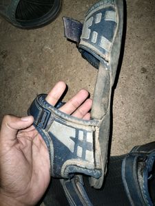Sparx Sandal