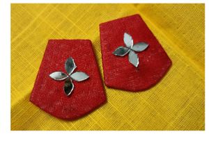 Stud Earrings Combo