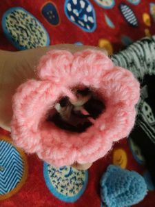 Cute Crochet Strawberry &amp; Blue Animal Charms