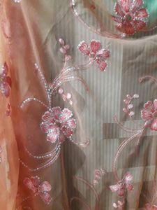 Embroidery Dupatta + Tints