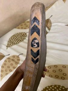 Kashmir Willow Sg Bat
