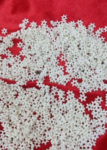 White Star Beads