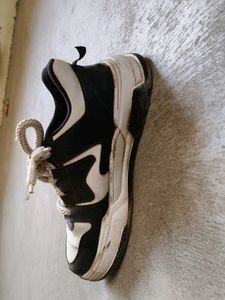 Stylish Tigonis Sneakers