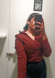 Brown Long Sleeve Crop Top with a zip closure